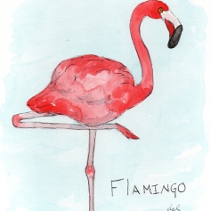 Flamingo - watercolor and ink